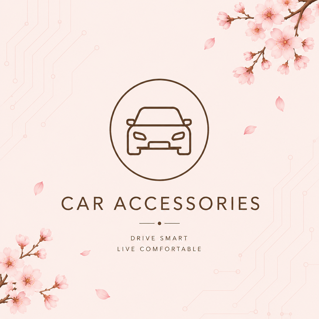 Car Accesories