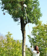 Fruit Picker