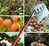Fruit Picker